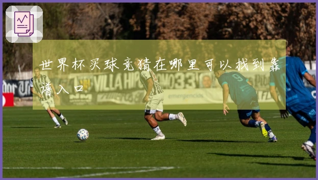 世界杯买球竞猜在哪里可以找到靠谱入口