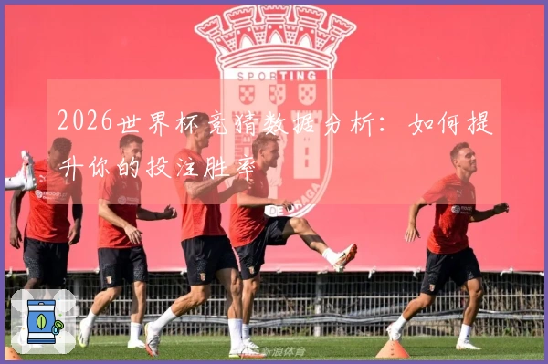 2026世界杯竞猜数据分析：如何提升你的投注胜率