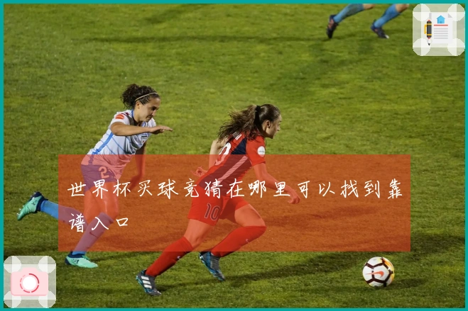 世界杯买球竞猜在哪里可以找到靠谱入口
