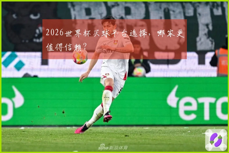 2026世界杯买球平台选择，哪家更值得信赖？