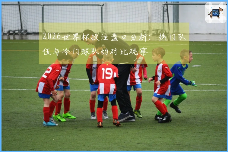 2026世界杯投注盘口分析：热门队伍与冷门球队的对比观察