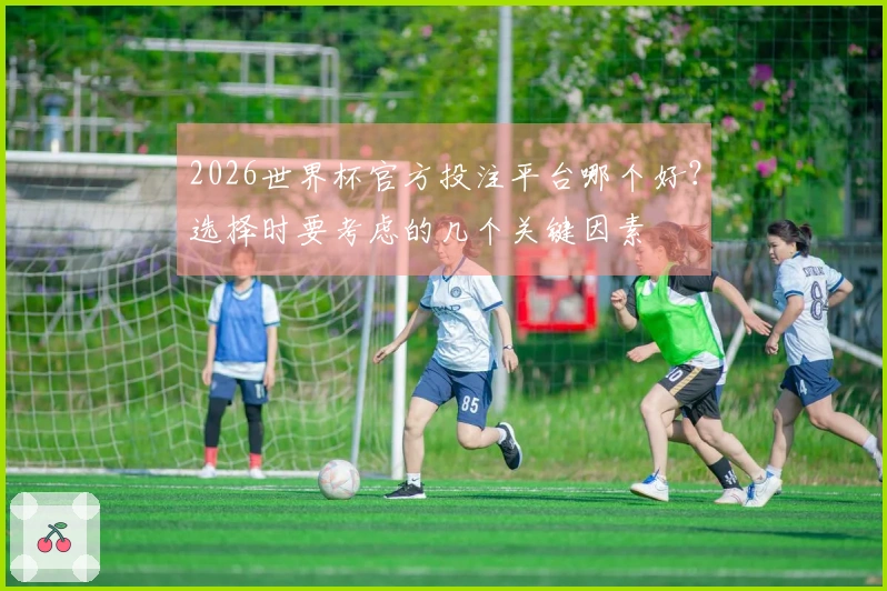 2026世界杯官方投注平台哪个好？选择时要考虑的几个关键因素