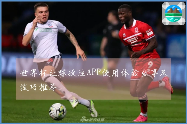 世界杯让球投注APP使用体验分享及技巧推荐