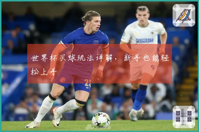 世界杯买球玩法详解，新手也能轻松上手