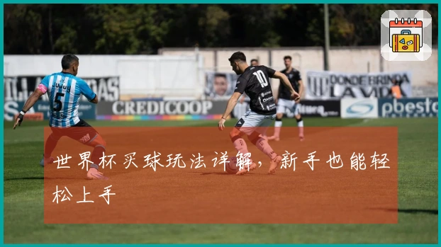 世界杯买球玩法详解，新手也能轻松上手