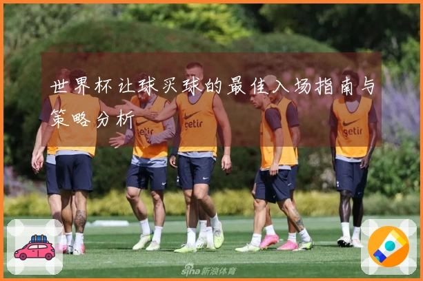 世界杯让球买球的最佳入场指南与策略分析