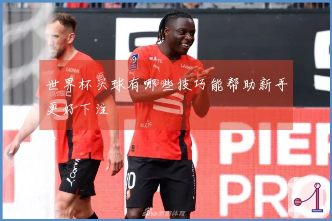 世界杯买球有哪些技巧能帮助新手更好下注