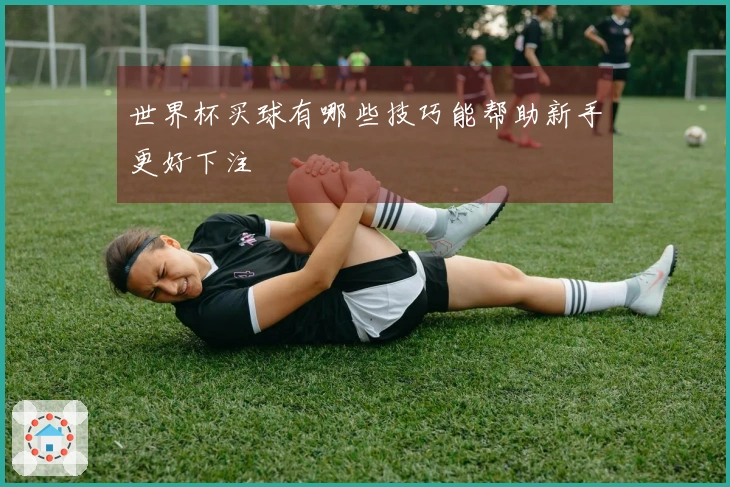 世界杯买球有哪些技巧能帮助新手更好下注