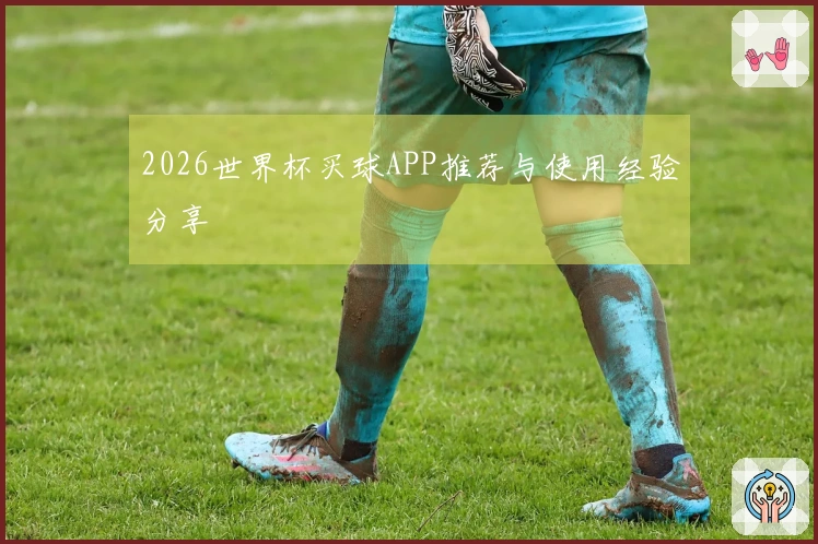 2026世界杯买球APP推荐与使用经验分享